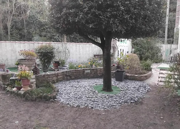 Entre Et Foret * Saint-Trojan-les-Bains