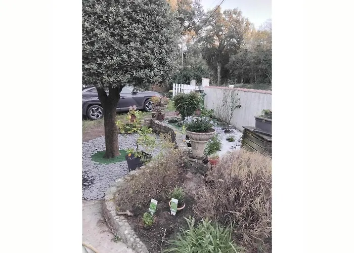 Entre Et Foret * Saint-Trojan-les-Bains